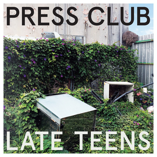 Strymon BigSky as heard on Late Teens by Press Club (2018)