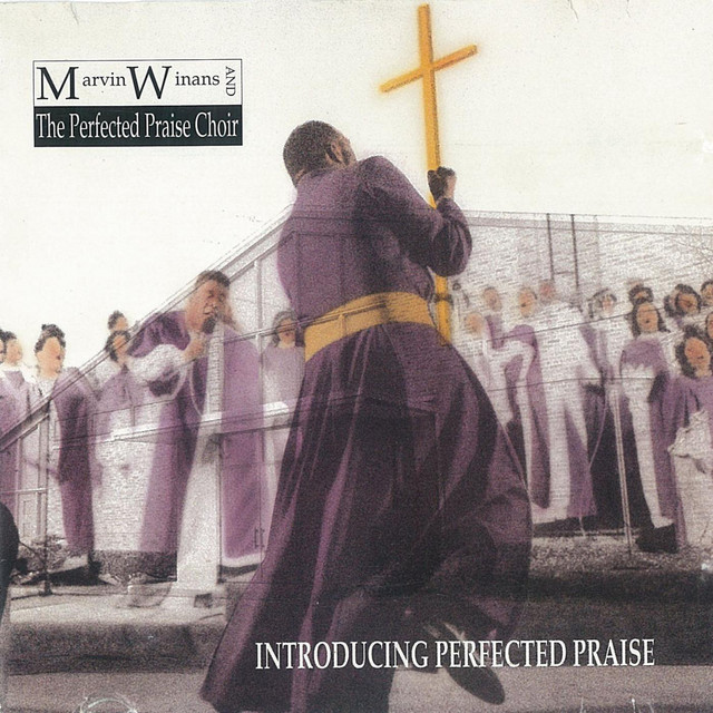 Introducing Perfected Praise album cover