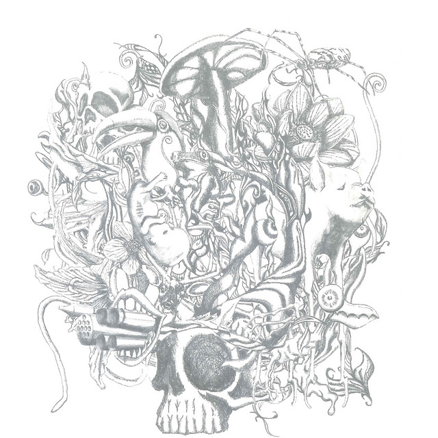 anima album cover
