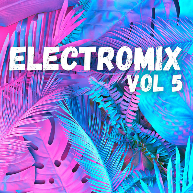 Electromix Vol 5 album cover