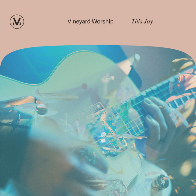 This Joy (Live) album cover
