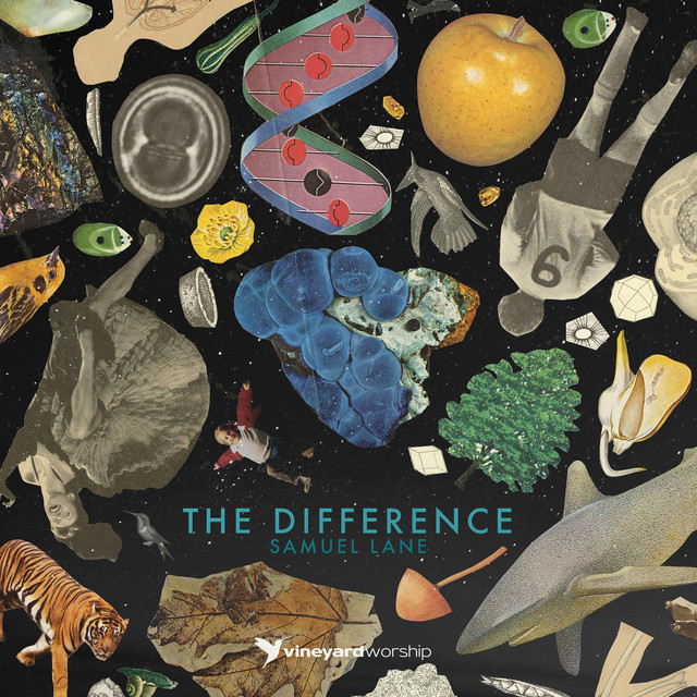 The Difference album cover
