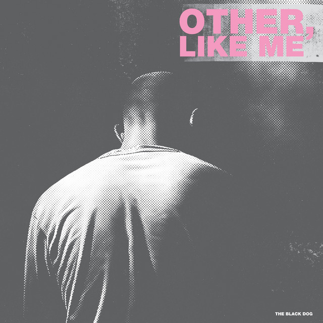 Other, Like Me album cover
