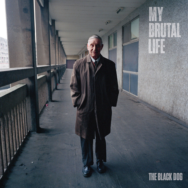 My Brutal Life album cover