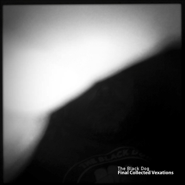 Final Collected Vexations album cover