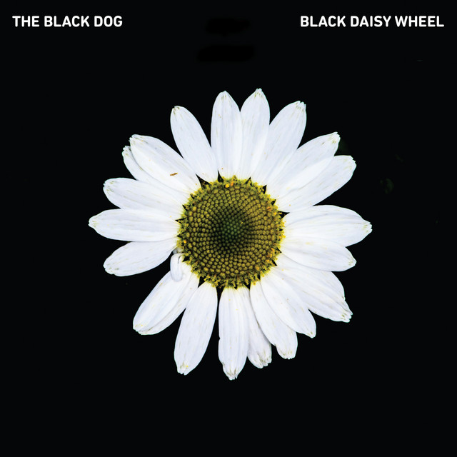 Black Daisy Wheel album cover