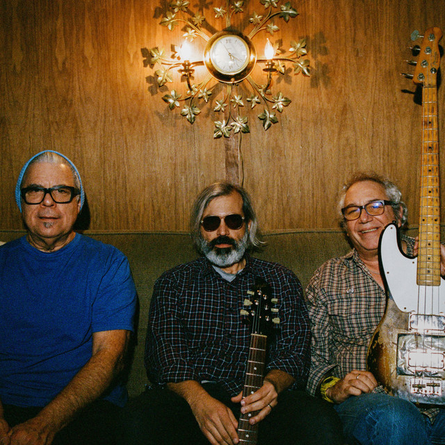 Main Steam Stop Valve album cover