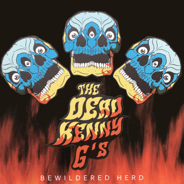 Bewildered Herd album cover