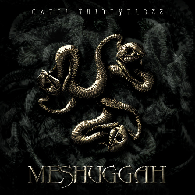 Catch Thirty Three album cover