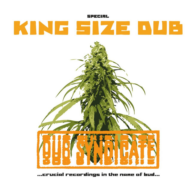 Special King Size Dub album cover