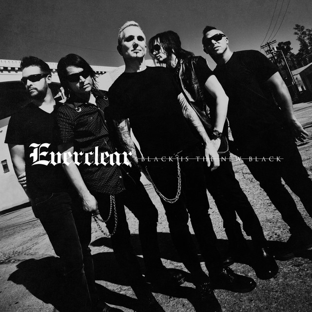 Black Is The New Black album cover