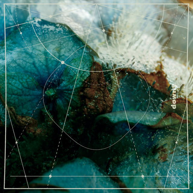 第六作品集『無題』 album cover