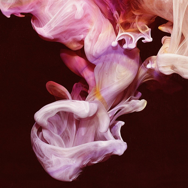 Re-Murmurations album cover