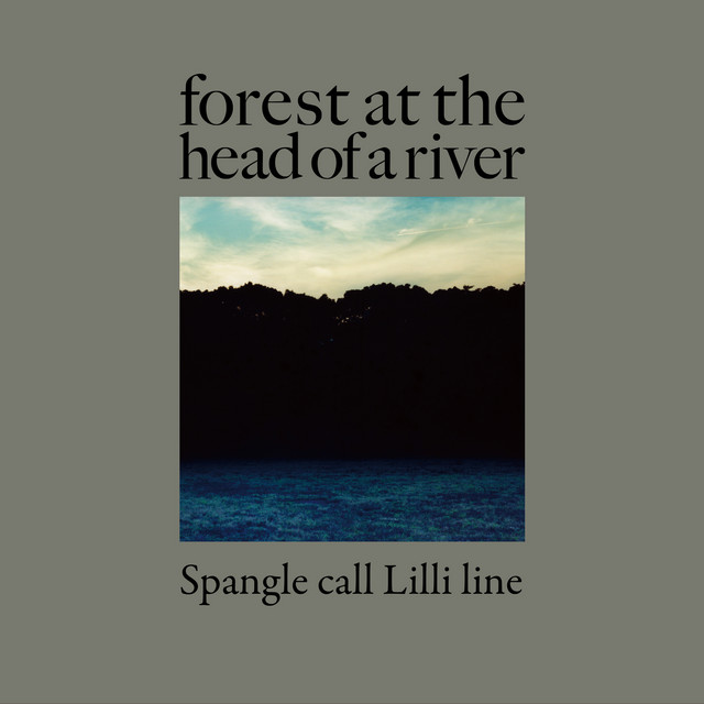 forest at the head of a river
