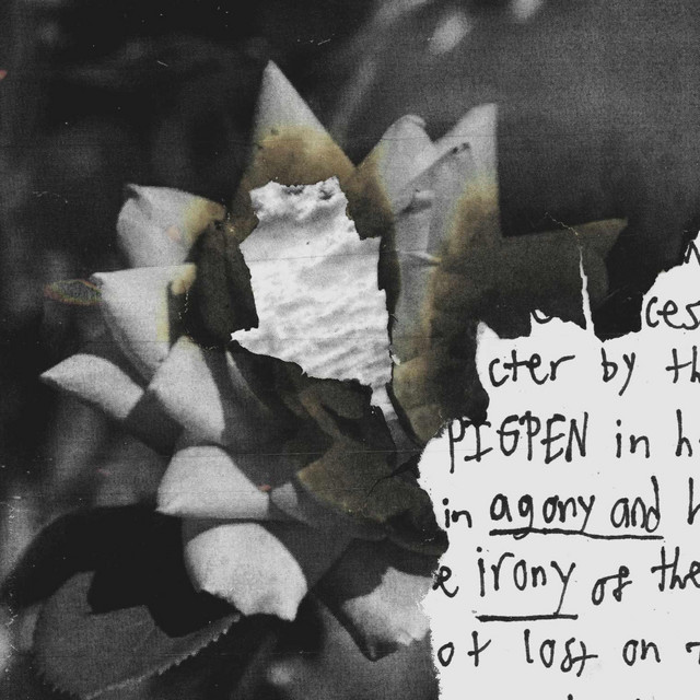 Agony & Irony album cover