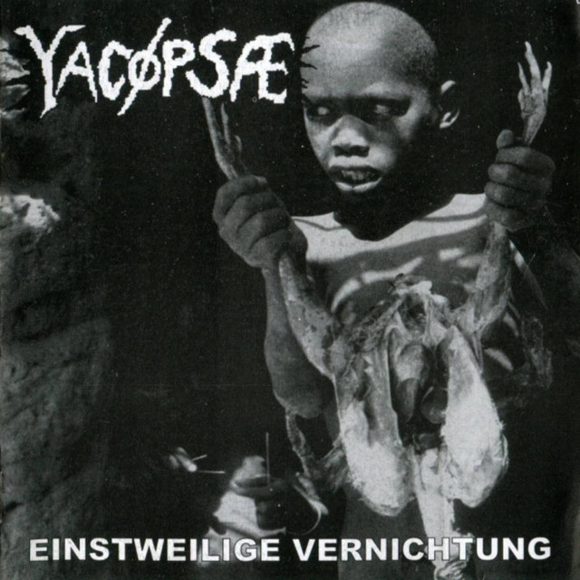 Einstweilige Vernichtung Part 1 album cover