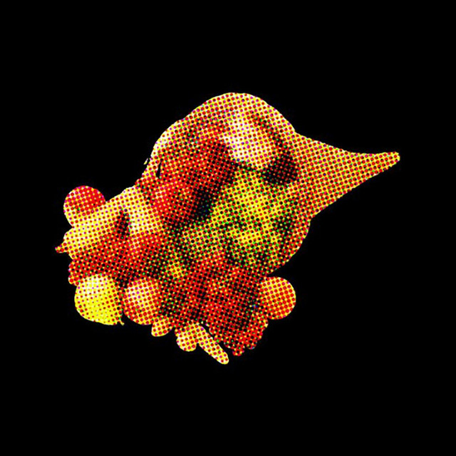 Cornucopia album cover