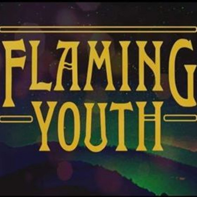 Flaming Youth album cover