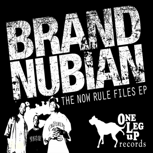 The Now Rule Files album cover
