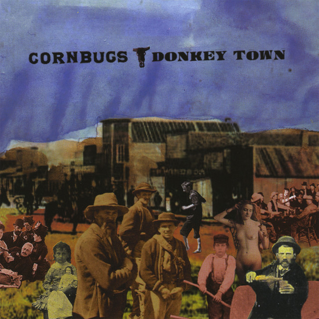 Donkey Town album cover