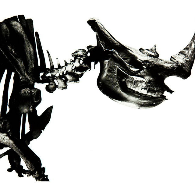 Mr.Children 1996-2000 album cover