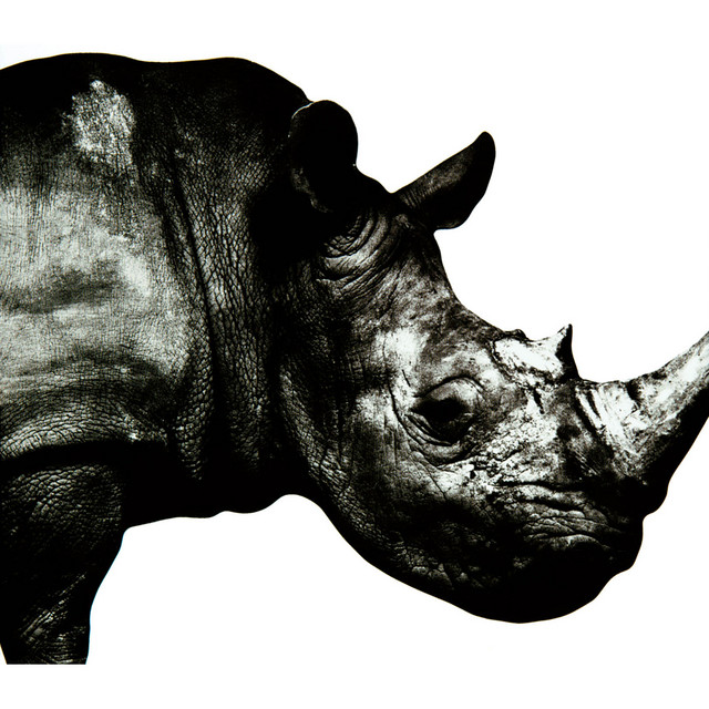 Mr.Children 1992-1995 album cover