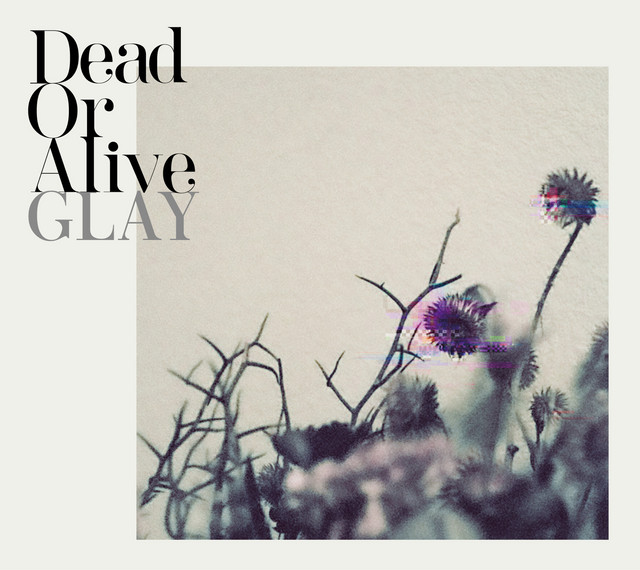 Dead Or Alive album cover