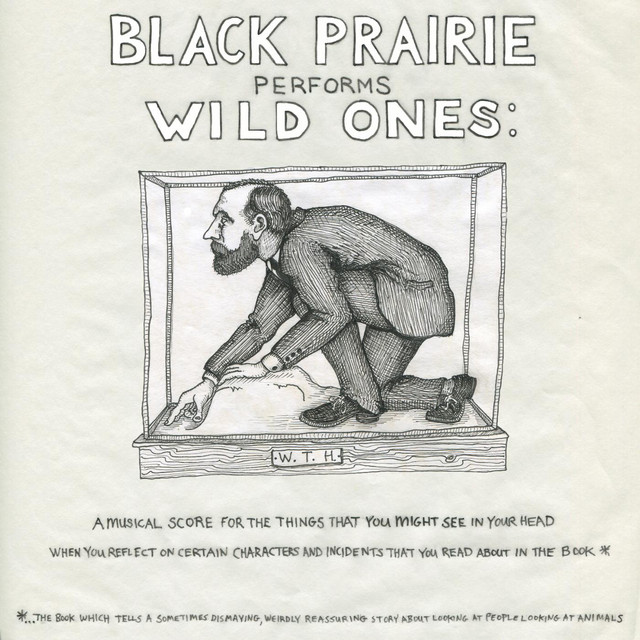 Wild Ones album cover