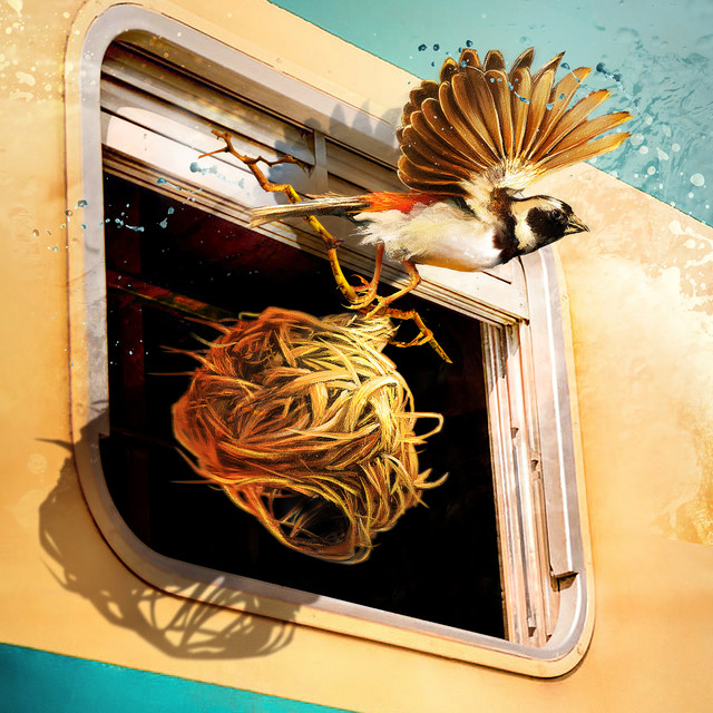 See album cover