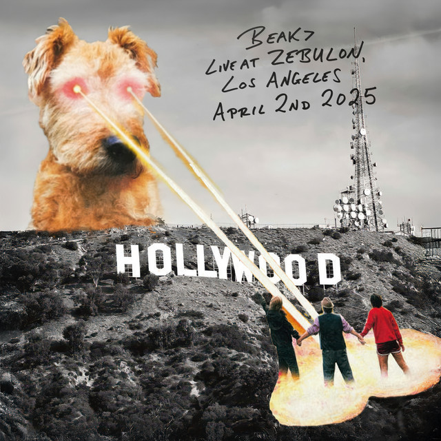 Live At Zebulon album cover