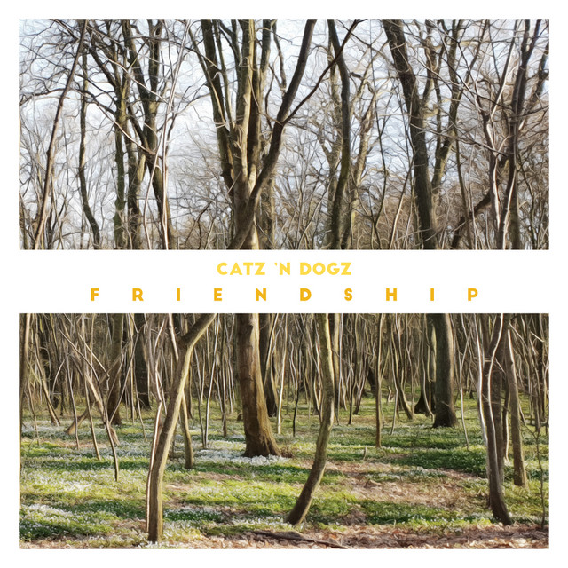 Friendship album cover