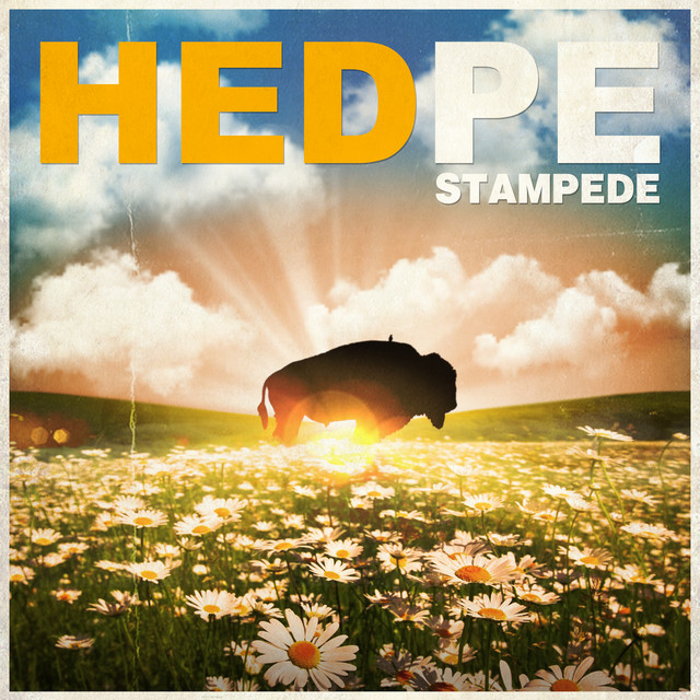 Stampede album cover