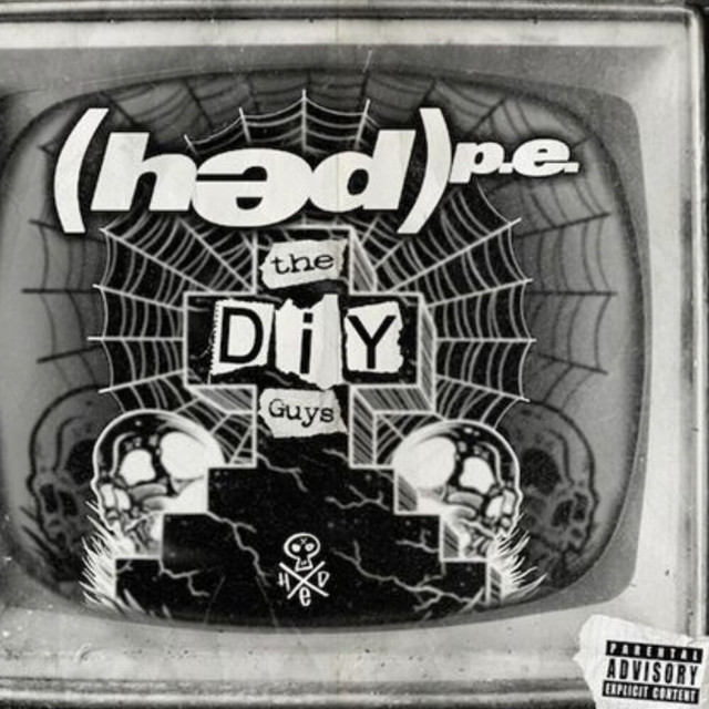 The DIY Guys album cover