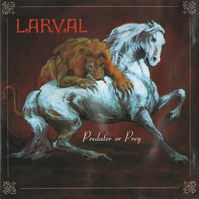 Predator or Prey album cover