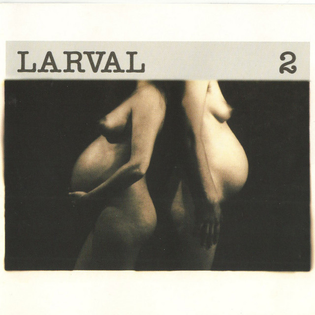 2 album cover