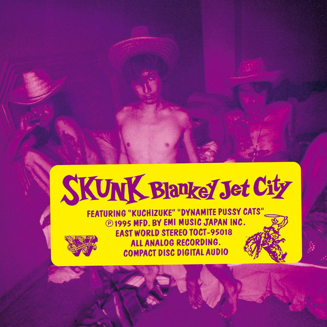 SKUNK album cover