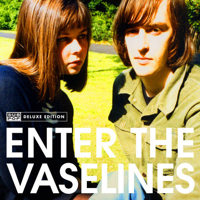 Enter The Vaselines (Deluxe Edition) album cover