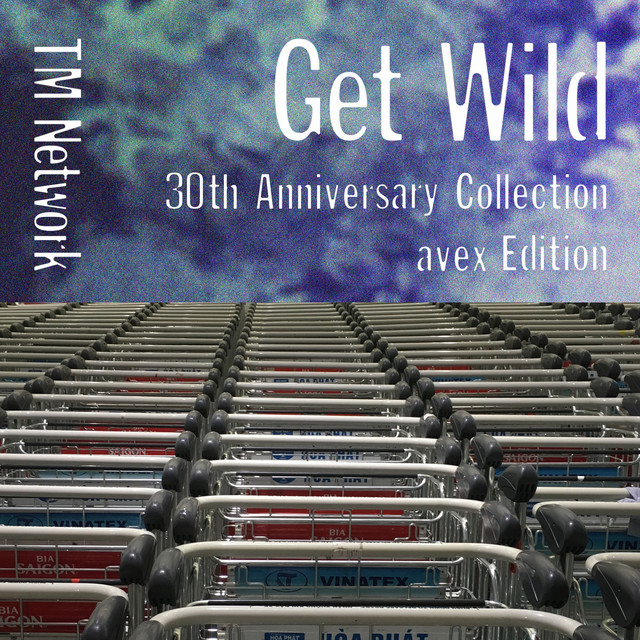 GET WILD 30th Anniversary Collection (avex Edition) album cover