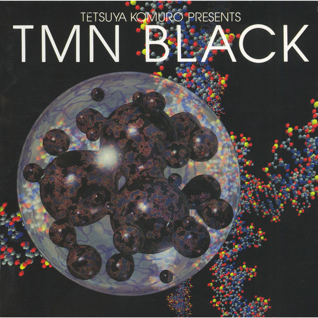 Tetsuya Komuro Presents TMN black album cover