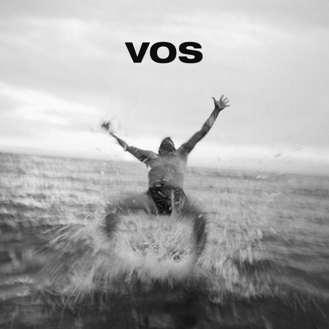 VOS album cover