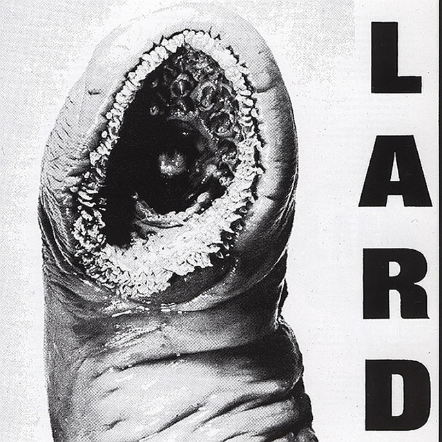 Power Of Lard album cover