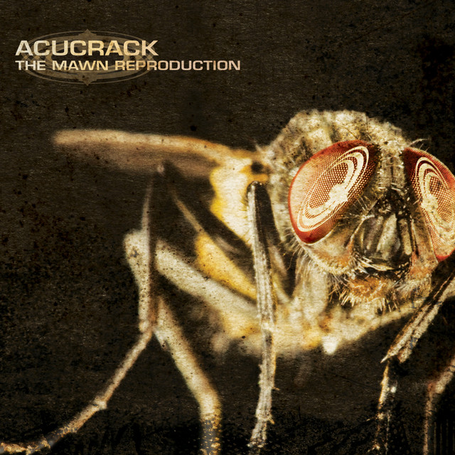 The Mawn Reproduction album cover