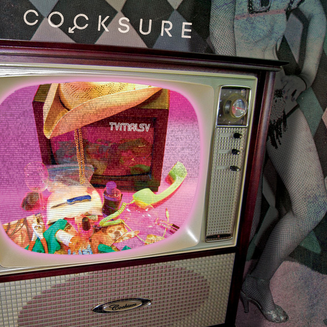 T.V.M.A.L.S.V. album cover