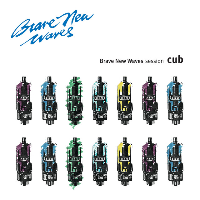 Brave New Waves Session album cover