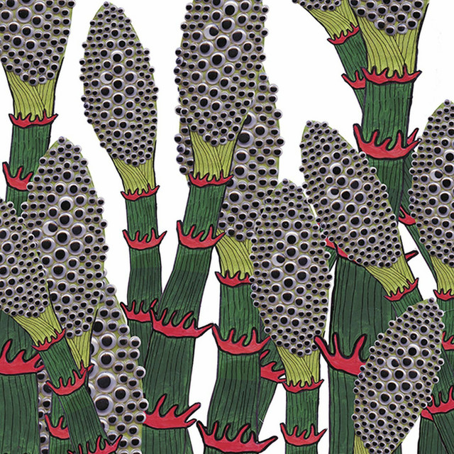 IV album cover