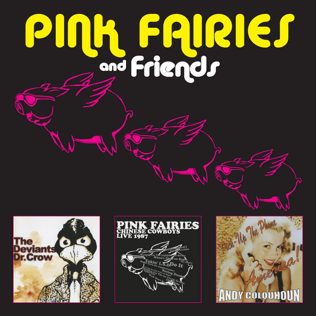 Pink Fairies and Friends album cover