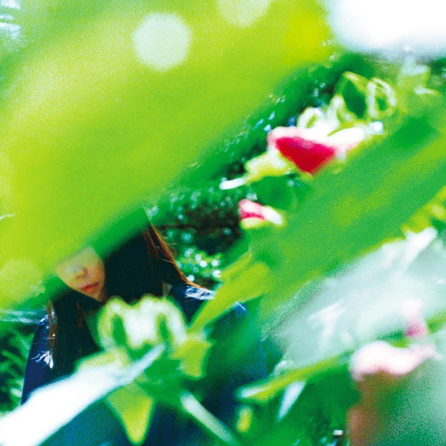 Spring Lovers album cover