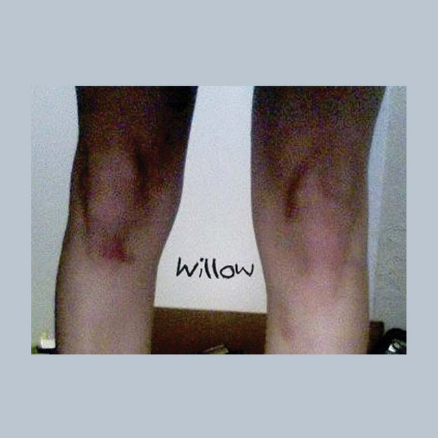 Willow album cover