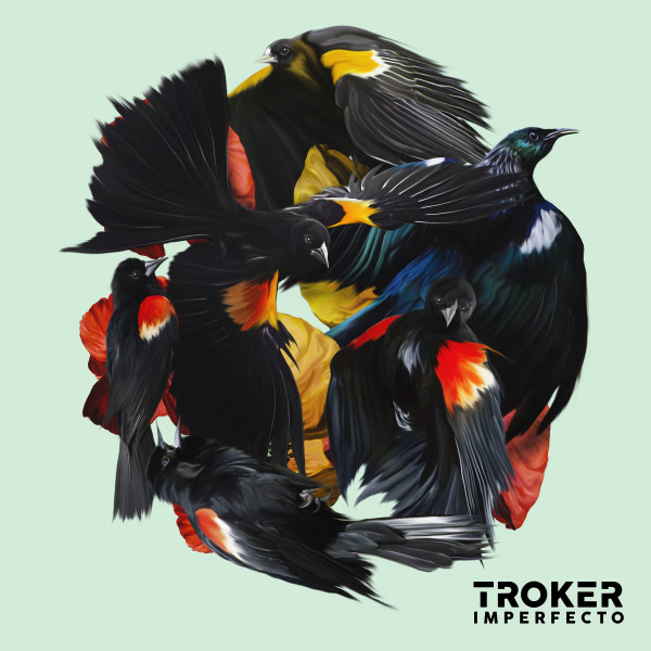 Imperfecto album cover