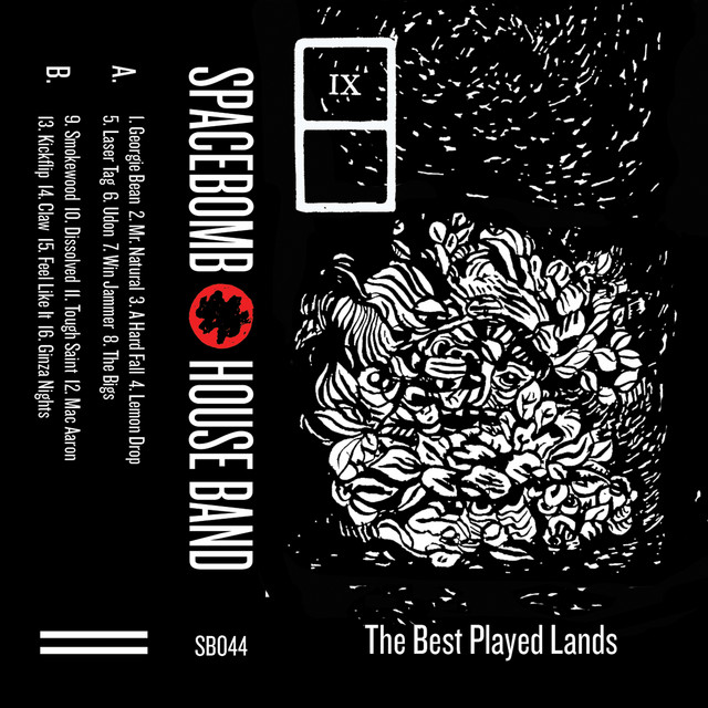 IX: The Best Played Lands album cover
